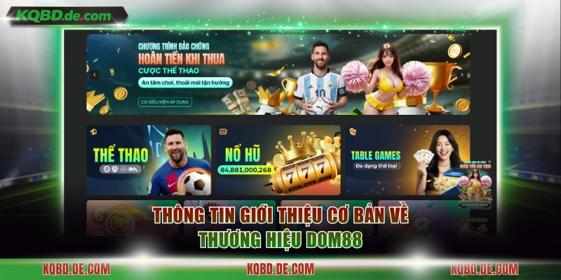 Thông tin giới thiệu cơ bản về thương hiệu Dom88