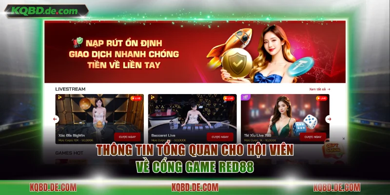 Thông tin tổng quan cho hội viên về cổng game RED88