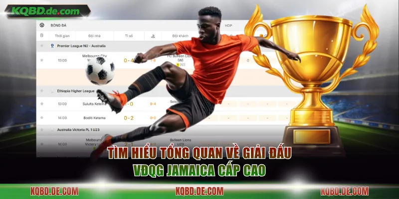 Tìm hiểu tổng quan về giải đấu VĐQG Jamaica cấp cao